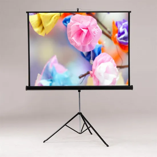 Tripod Projection Screen/Projector Screen with Competitive Prices (TS070)
